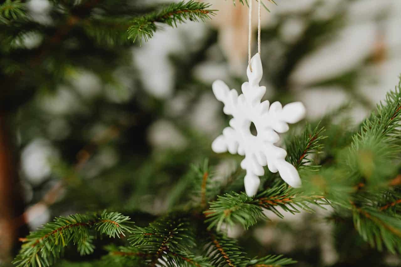 arbre de noel organisation midi pile
